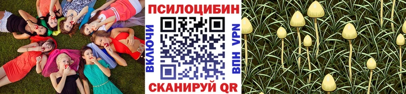 Псилоцибиновые грибы ЛСД Приволжск